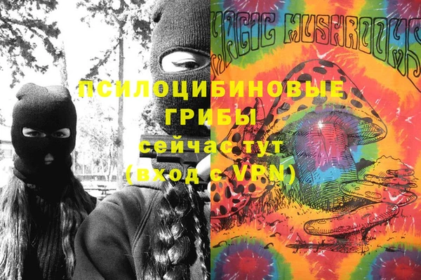 гидра Тихвин