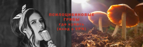 гидра Тихвин