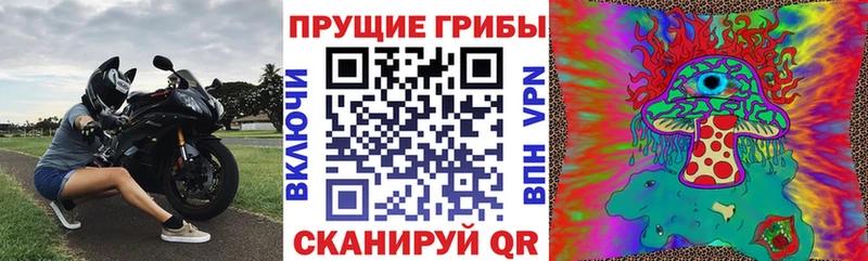 Галлюциногенные грибы Psilocybine cubensis  Купить закладки  Гдов 